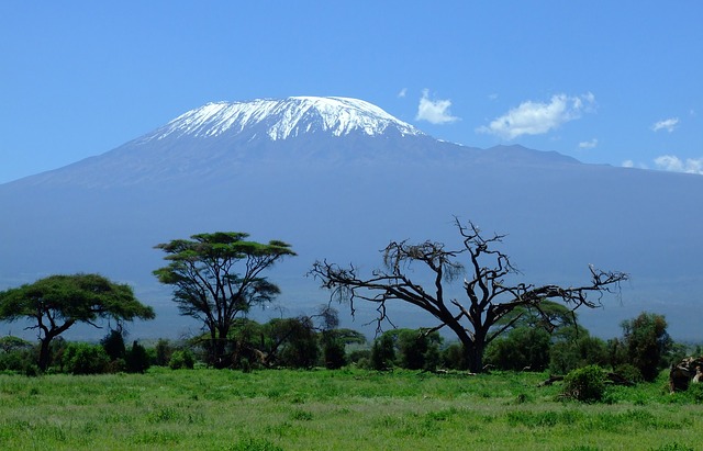 kilimanjaro keňa